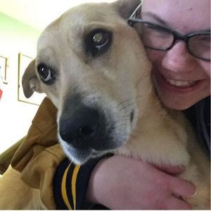 Meet your Posher, Kristen